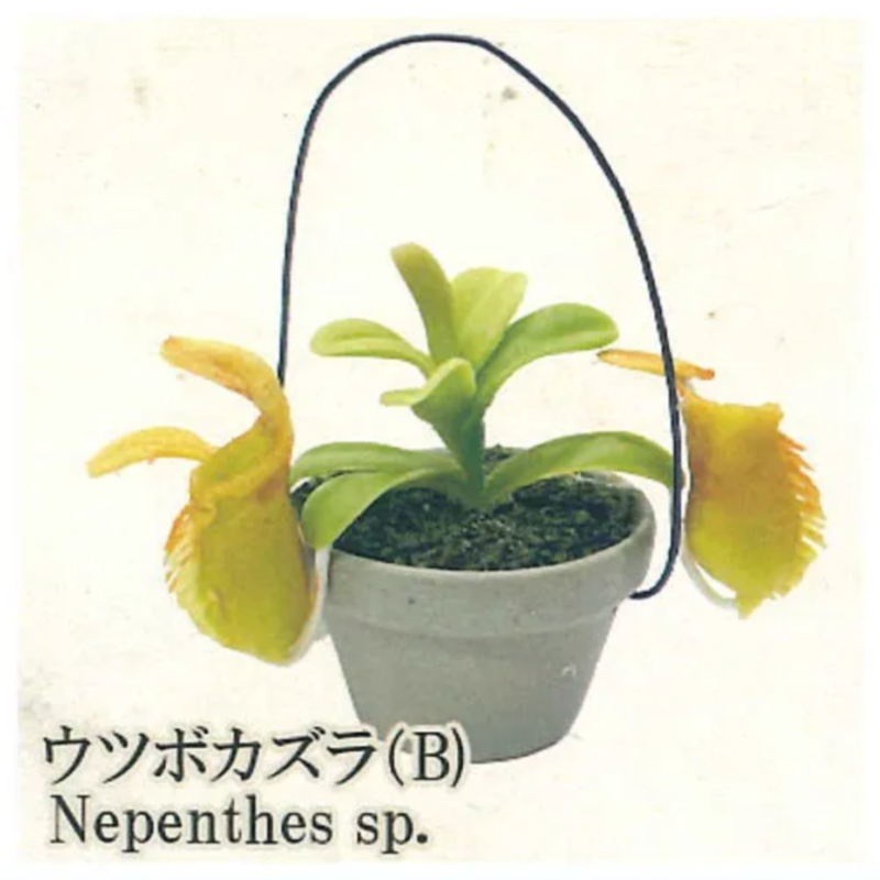Cápsula japonesa arco-íris gas - Capsule Toy Gashapon avaliação e preço