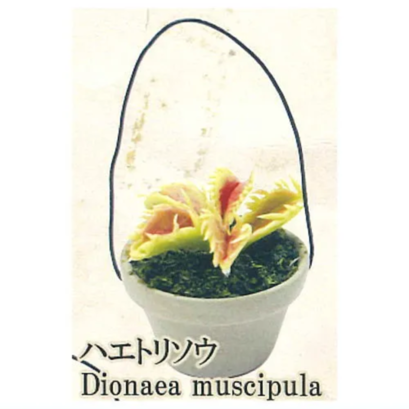 Cápsula japonesa arco-íris gas - Capsule Toy Gashapon avaliação e preço